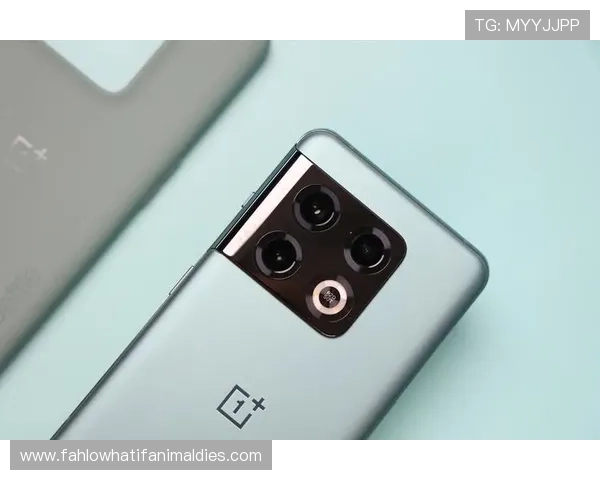 下载AG官方手机版，享受稳定流畅的游戏体验和最新版本的丰富更新内容