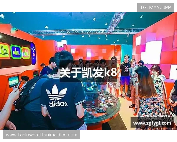 凯发国际k8官网登录：最新登录入口确保用户体验顺畅