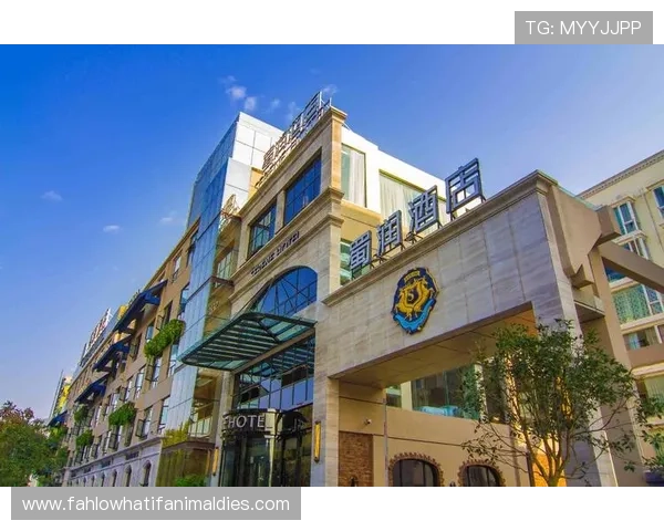 凯发旗舰厅欢迎你，加入我们的VIP尊享计划，享受专属优惠和个性化的服务体验