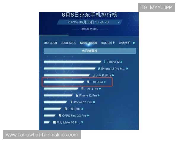 如何选择最稳定的AG旗舰厅登录线路，专家为您提供实用指南与最新推荐方案